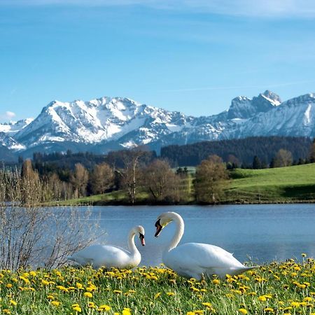 Direkt Am See Mit Bergblick Зеег Екстериор снимка