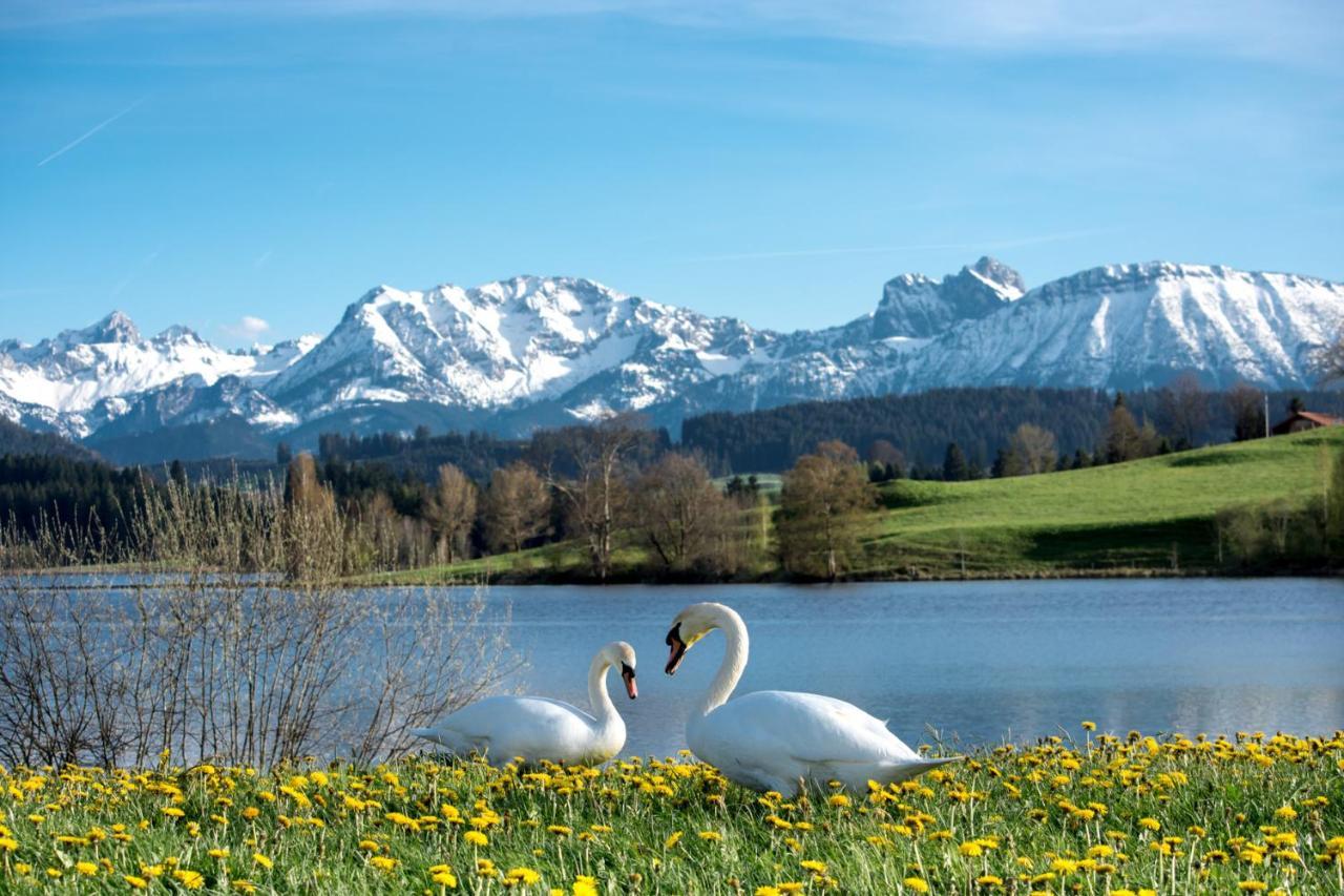 Direkt Am See Mit Bergblick Зеег Екстериор снимка